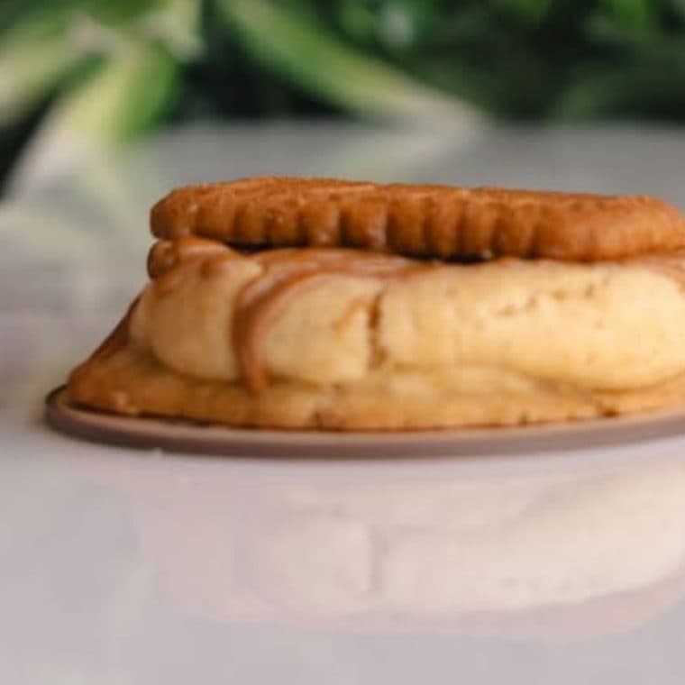 Lotus Spéculoos